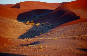 Namibia Red Dunes