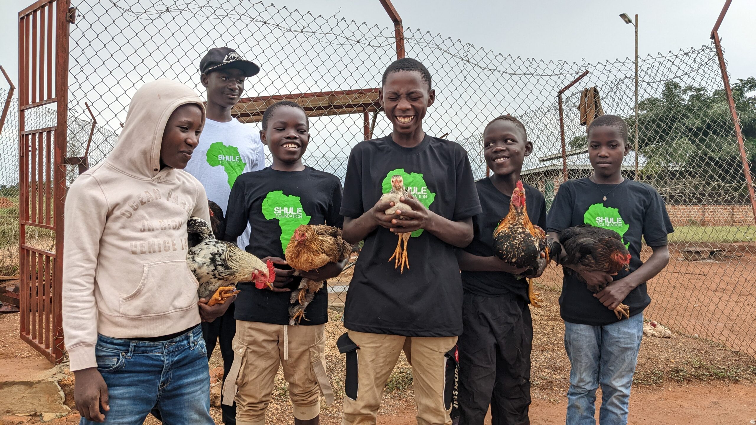 Shule boys caring for egg-laying chicken at the Shule Center for Eggsellence.