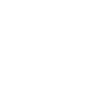 A white icon of a bowl of soup.