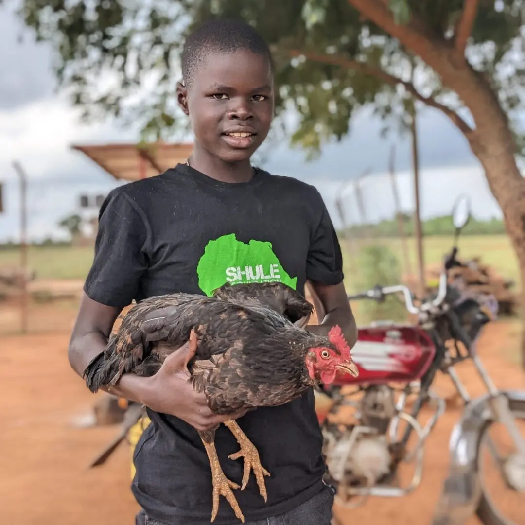 Polycup with a chicken