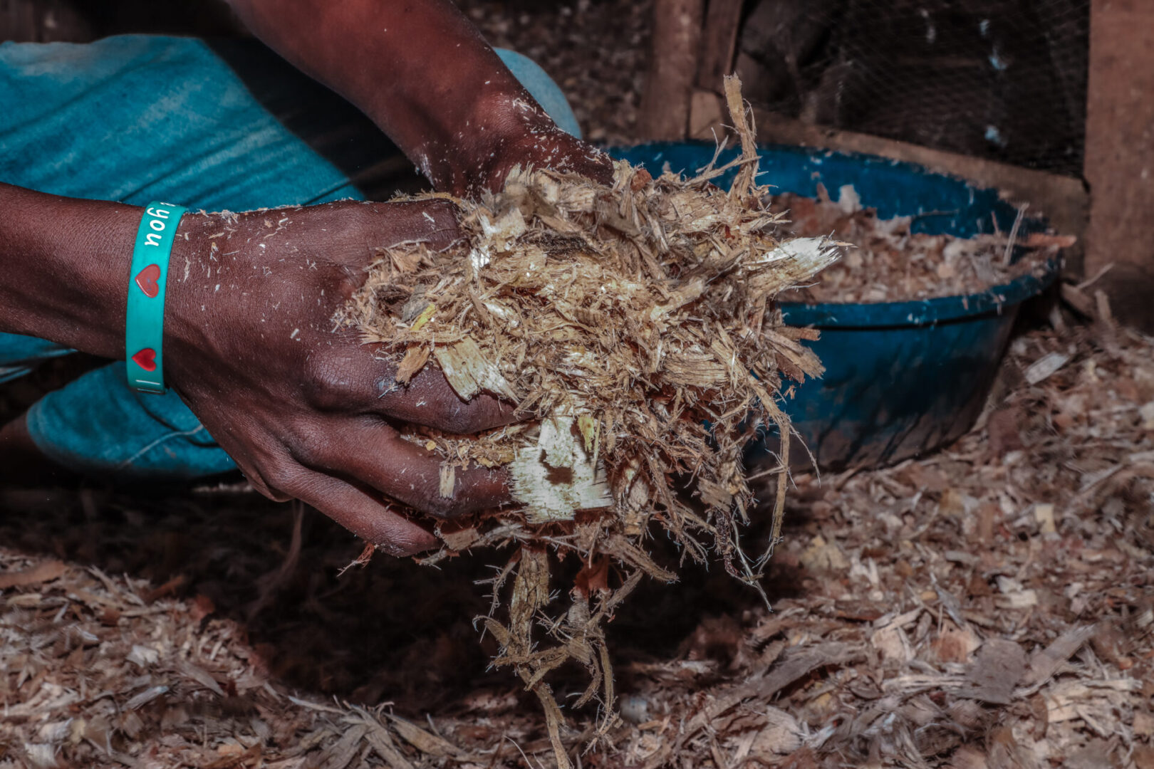 Sawdust and basic for poultry project