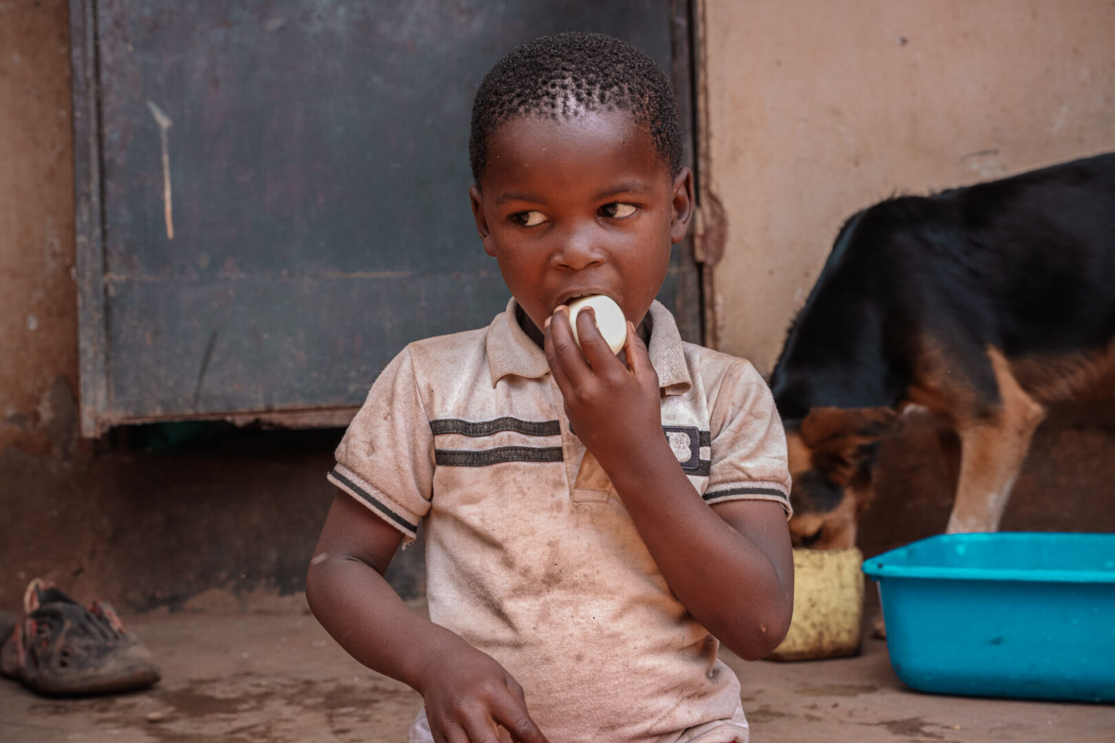 children eating eggs